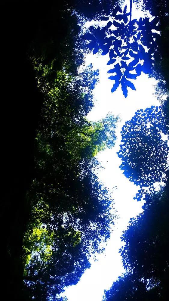 逃出足球场